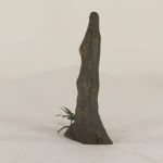 Cypress Knee - 004