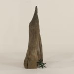 Cypress Knee - 008