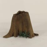 Cypress Stump - 001