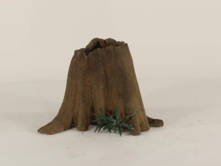 Cypress Stump - 001