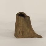 Cypress Stump - 001