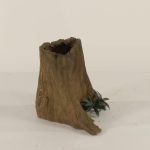 Cypress Stump - 001