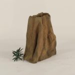 Cypress Stump - 002