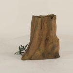 Cypress Stump - 002