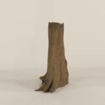 Cypress Stump - 003