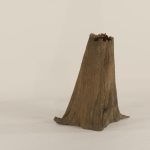 Cypress Stump - 003