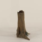 Cypress Stump - 003