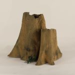 Cypress Stump - 004