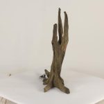 Tree Stump - 003