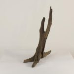 Tree Stump - 003