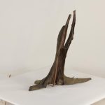 Tree Stump - 003