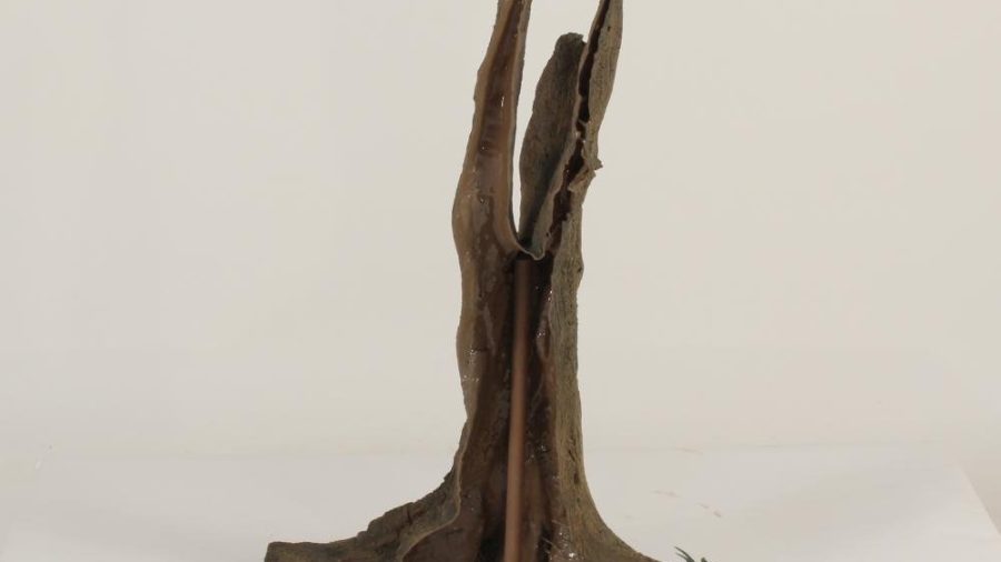 Tree Stump - 003