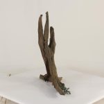 Tree Stump - 003