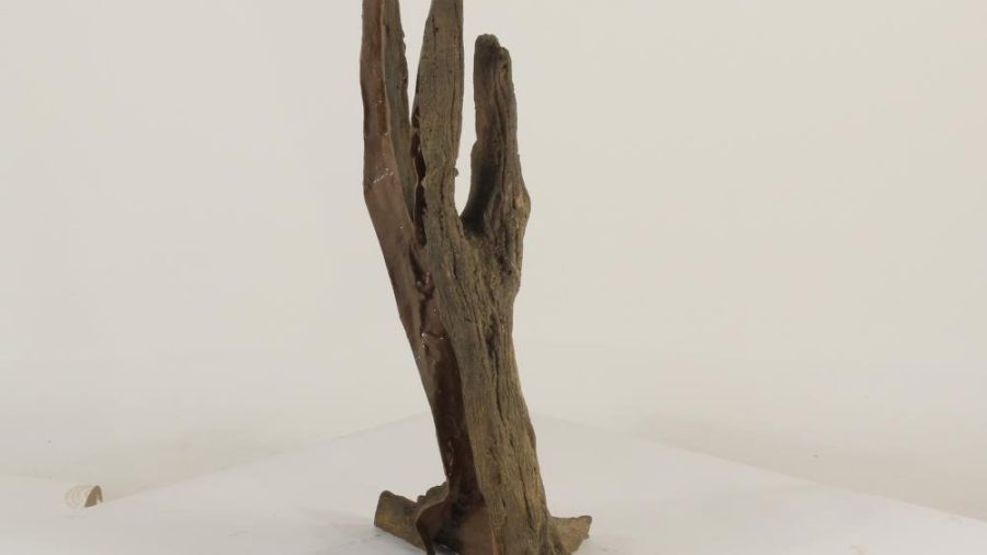 Tree Stump - 003