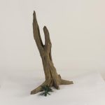 Tree Stump - 003