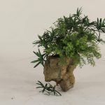 Wall Planter-001