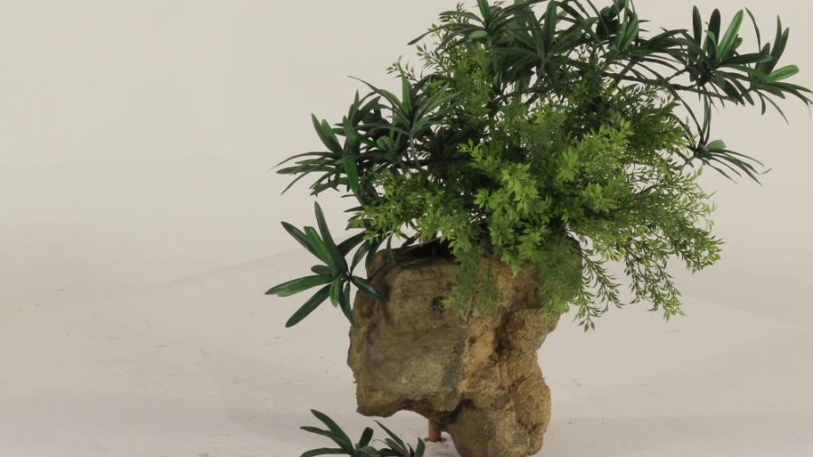 Wall Planter-001