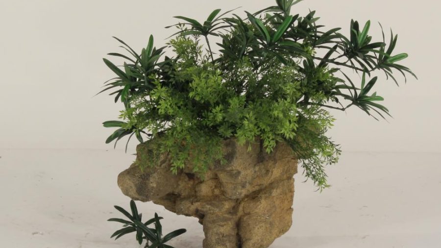 Wall Planter-001