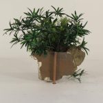 Wall Planter-001