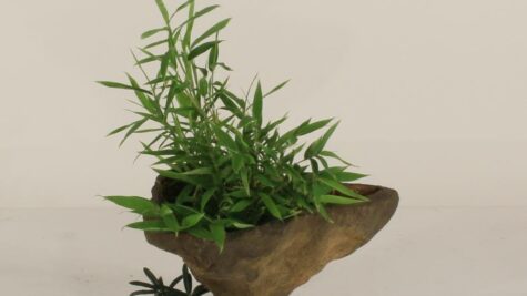 Wall Planter-002