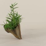 Wall Planter-002