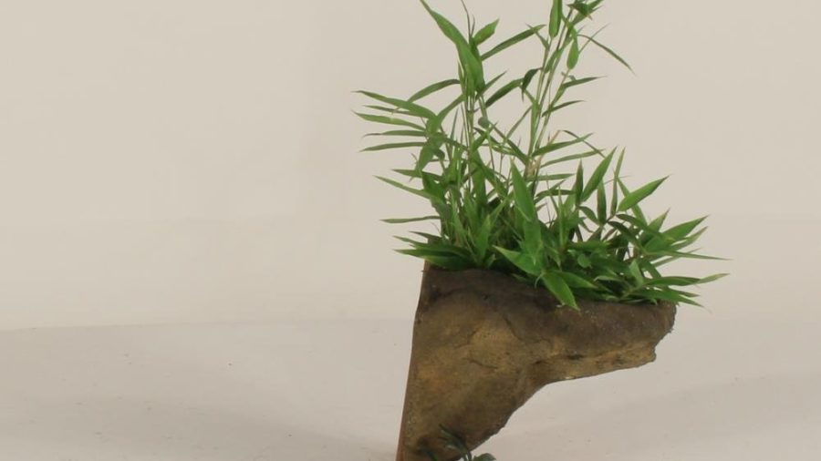 Wall Planter-002