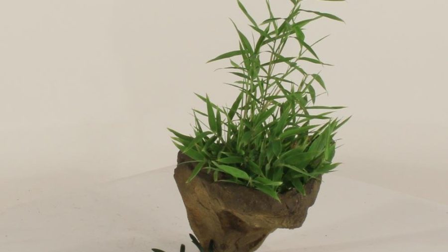 Wall Planter-002