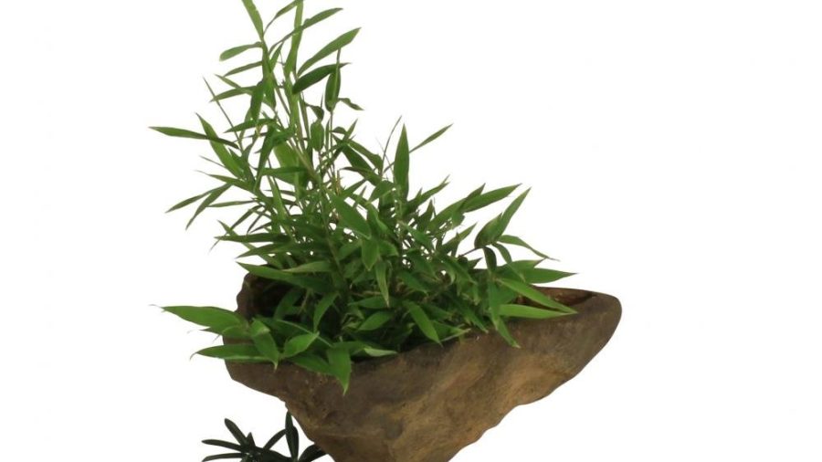 Wall Planter-002