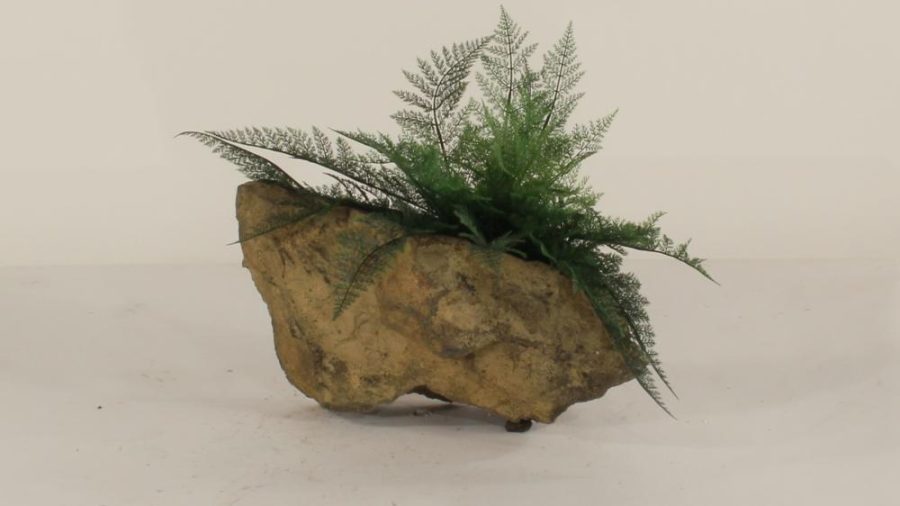 Wall Planter-003