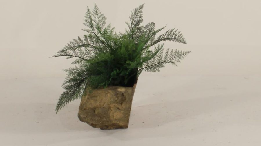 Wall Planter-003