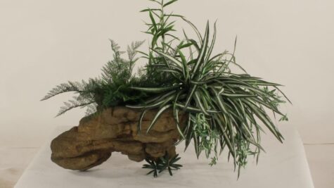 Wall Planter-004