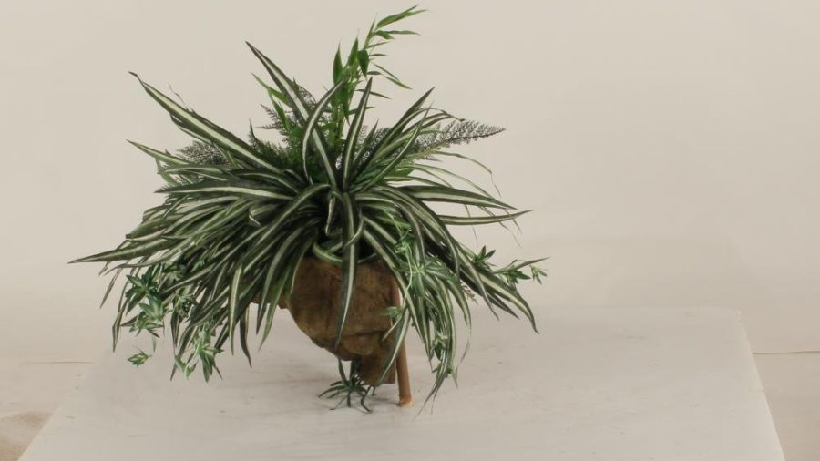 Wall Planter-004