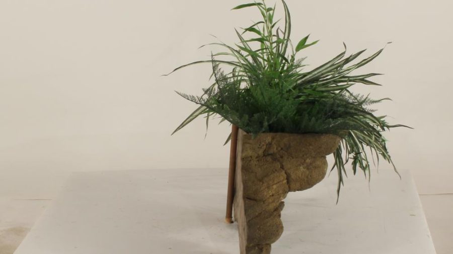 Wall Planter-004