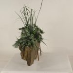 Wall Planter-005