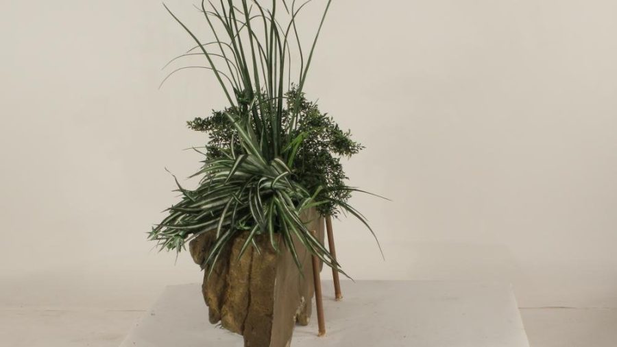 Wall Planter-005