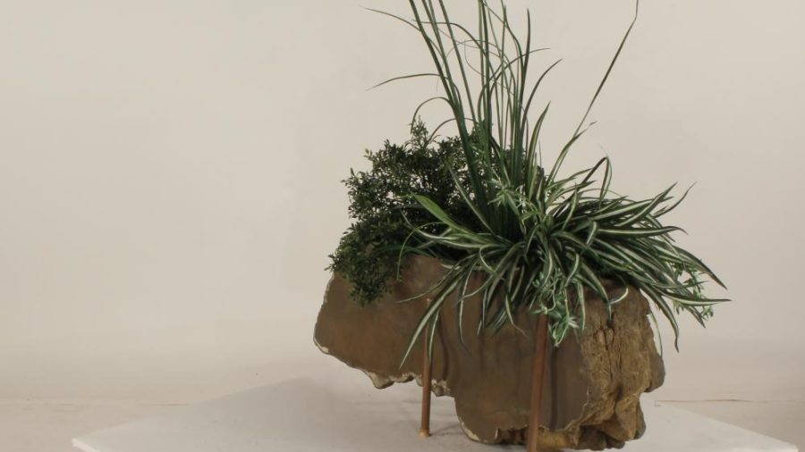 Wall Planter-005