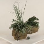 Wall Planter-005