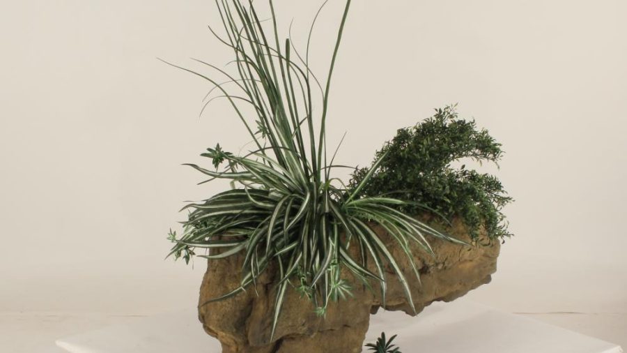 Wall Planter-005