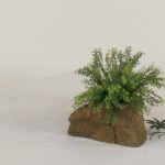 Pot Rock - 006