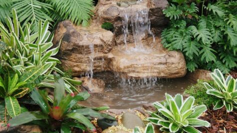 Small Rock Waterfall-008