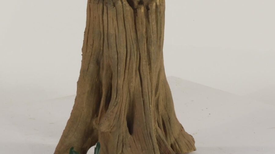 TREE STUMP - 004