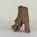 TREE STUMP - 004