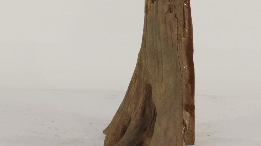 TREE STUMP - 004