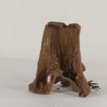 TREE STUMP - 004