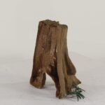 TREE STUMP - 004