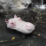 FLOATING - HIPPO HEAD SMALL