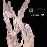 MISTWOOD-004