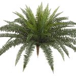 30 INCH OUTDOOR BOSTON FERN